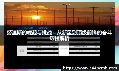努涅斯的崛起与挑战：从新星到顶级前锋的奋斗历程解析